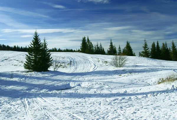 Луг в горах зимой — стоковое фото