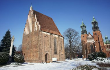 Archcathedral Basilica of St. Peter and St. Paul at winter clipart