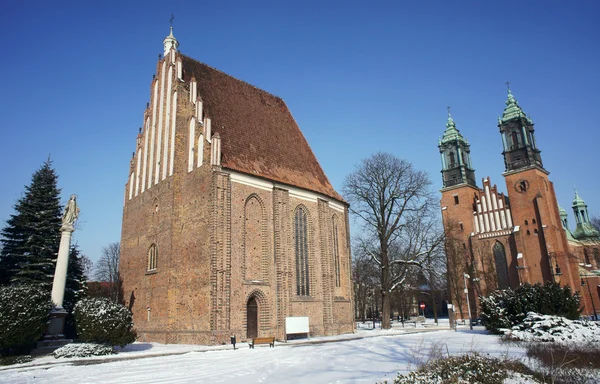 Архикафедральный собор Св. Петра и Павла зимой — стоковое фото
