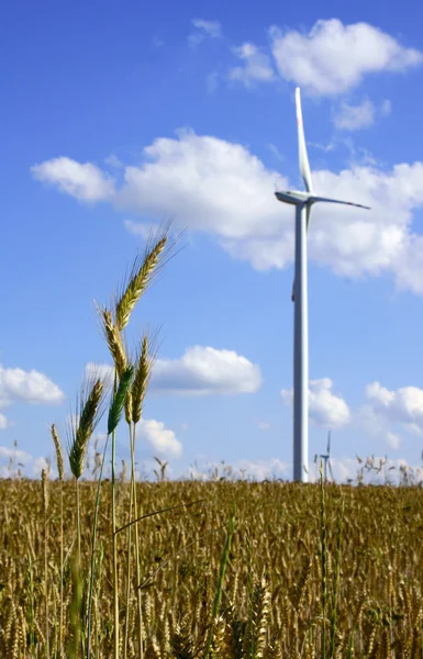 Шипы и турбины на ветряной электростанции — стоковое фото