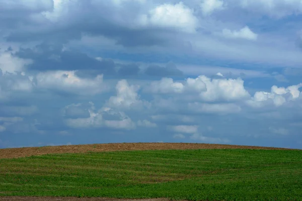 stock image Landscape with meadow in Poland