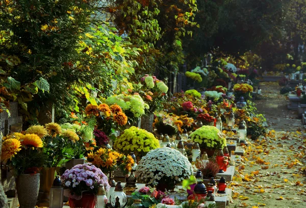 Flores no cemitério no Dia de Todos os Santos — Fotografia de Stock