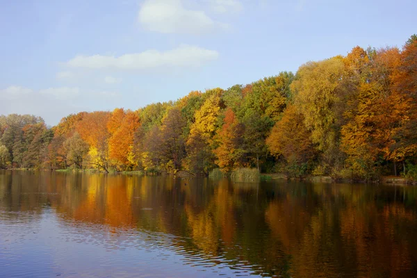 Jezioro i Las na jesień — Zdjęcie stockowe