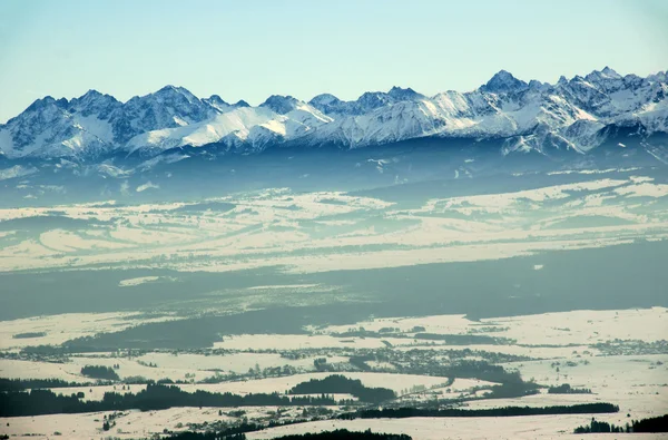 Montanhas Cárpatas no inverno — Fotografia de Stock
