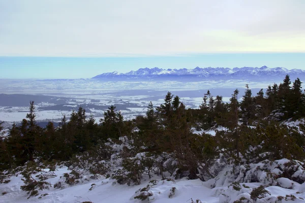 Karpaterna på vintern — Stockfoto