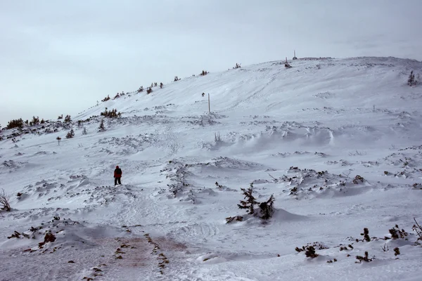 喀尔巴阡山在冬季 — 图库照片