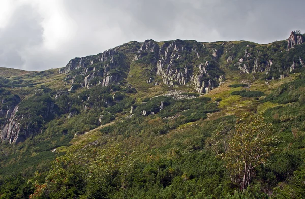 Montaña con rocas en Sudety —  Fotos de Stock