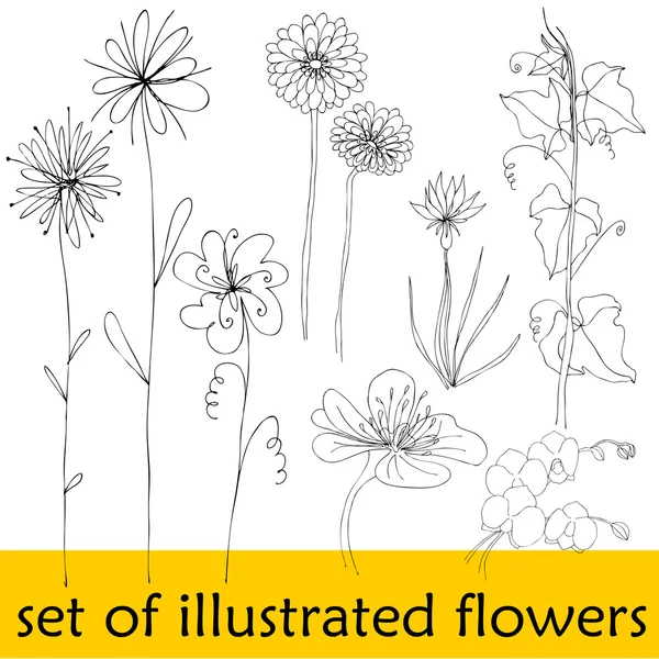 Σύνολο εικονογραφημένα χαριτωμένο λουλούδια για το σχέδιό σας άνοιξη — Φωτογραφία Αρχείου
