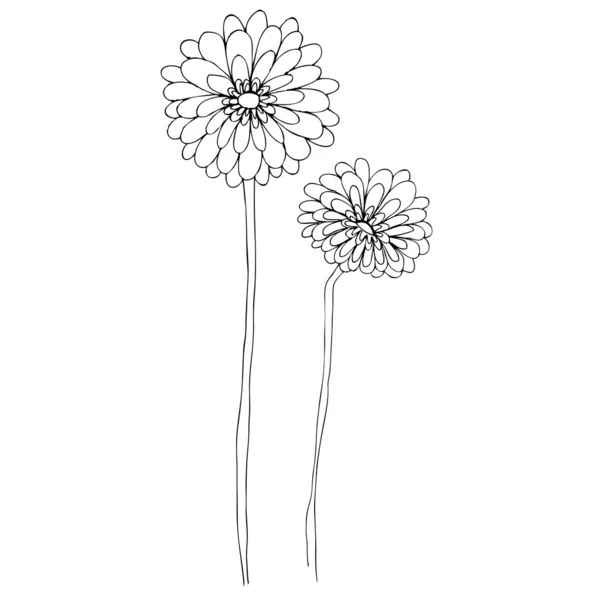 Ілюстровані милі квіти для вашого весняного дизайну — стокове фото