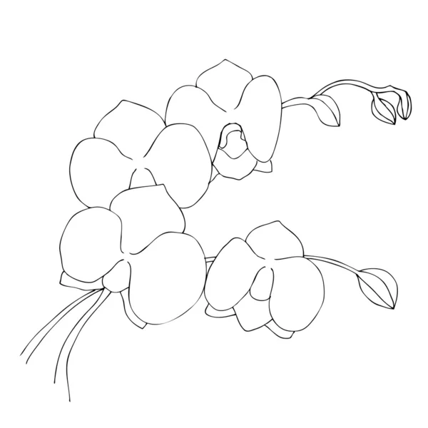 Illustrierte niedliche Blume für Ihr Frühlingsdesign — Stockfoto