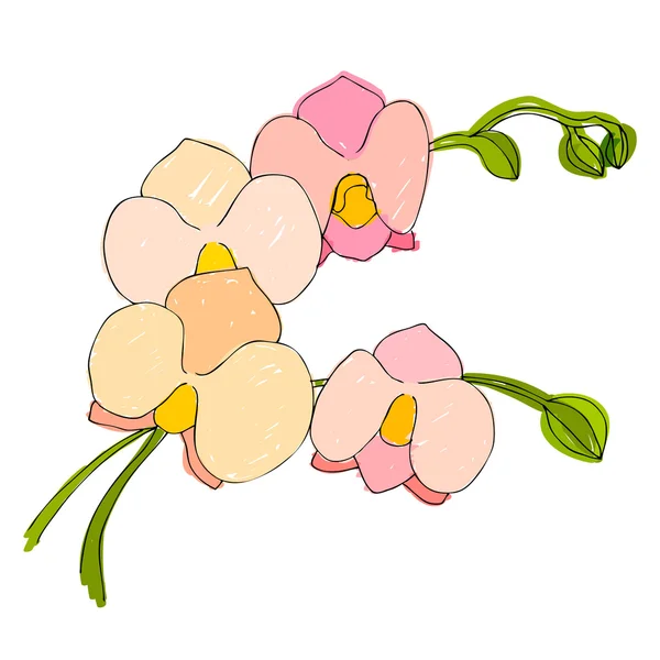 A tavaszi design illusztrált aranyos virág — Stock Fotó