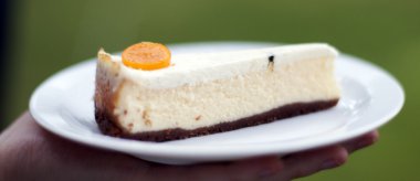 keçi peynirli cheesecake vanilya pod ve yumuşak cr tepesi ile