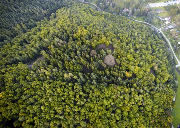 Forêt dense vue aérienne, Brno, République tchèque — Photo