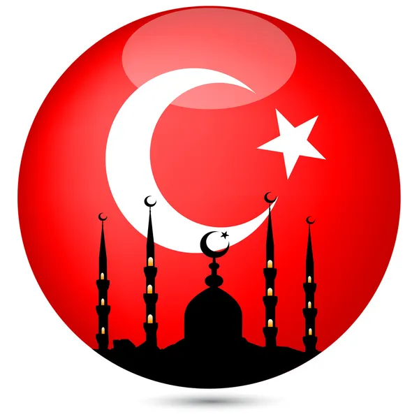 Moskén med den turkiska flaggan globe.vector — Stock vektor
