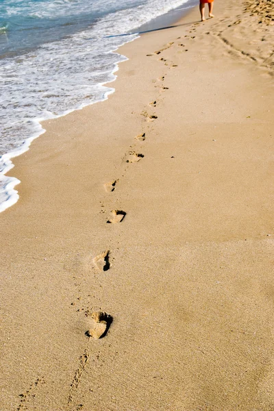 Lépések a homokban Stock Kép