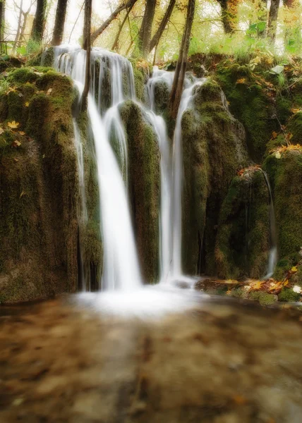 Small forest waterfall — Stock Photo, Image