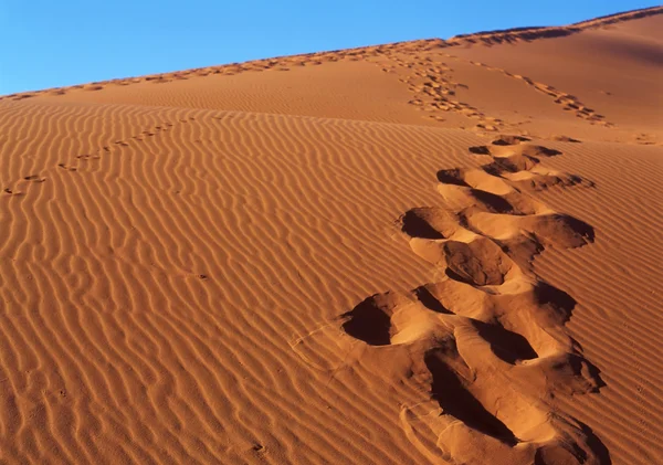 Lábnyom a homok — Stock Fotó