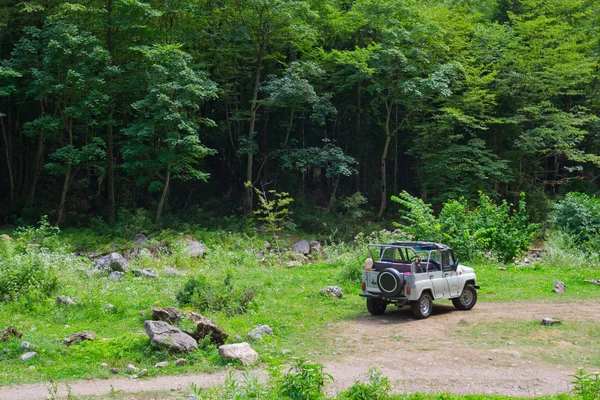 stock image Off-road car