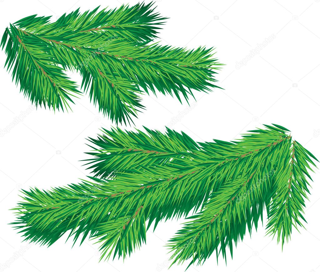 Download Christmas tree branch — Stock Vector © AnnaDrozd #8018130