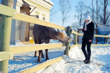 Winter Girl in a coat near horse clipart