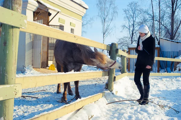 Vintern flicka i en kappa nära häst — Stockfoto