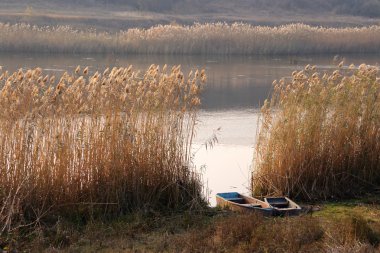 Nehri üzerinde tekne ile peyzaj