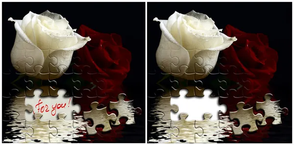 Duas cartas com rosas brancas e vermelhas . — Fotografia de Stock