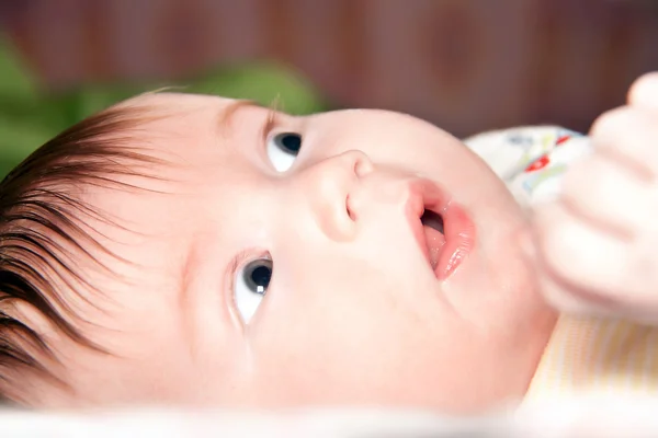 Dítě asi dva měsíce udivenýma očima — Stock fotografie