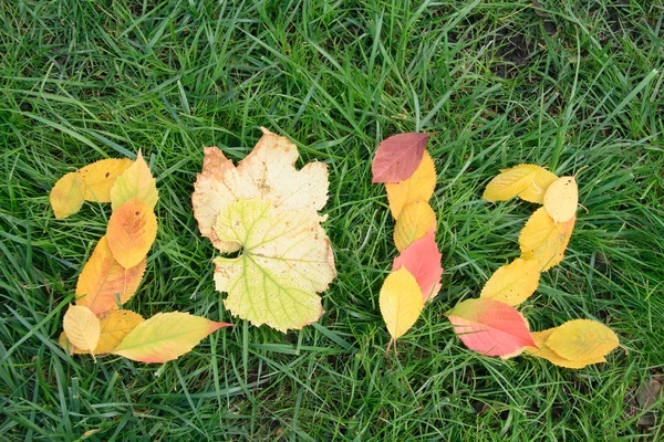 Fallen red and yellow leafs making 2012 digits — Stock Photo, Image