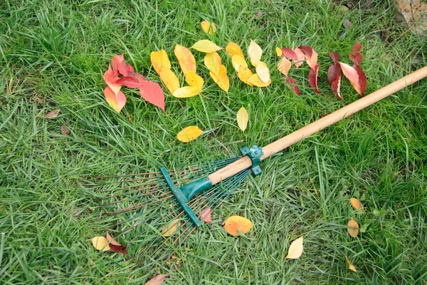 Падшие красные и желтые листья, дающие слово осенью — стоковое фото