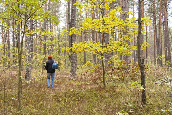 stock image Woman alone walking in the forest