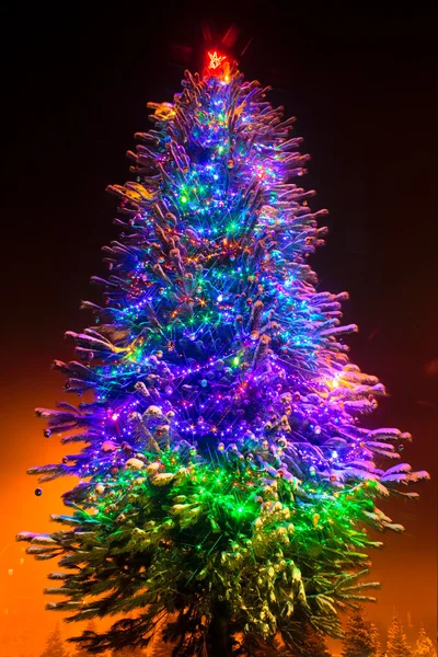 Árvore de Natal na noite — Fotografia de Stock