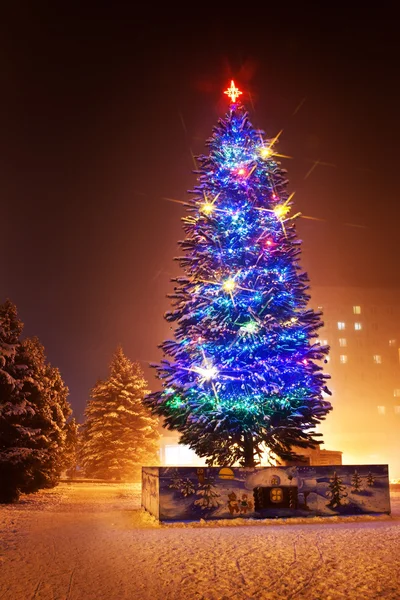 Різдвяна ялинка вночі — стокове фото