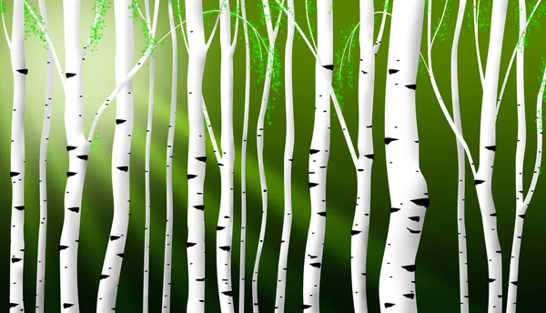 stock image Abstract birch stems background