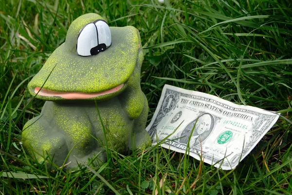 Der Frosch und der Dollar — Stockfoto