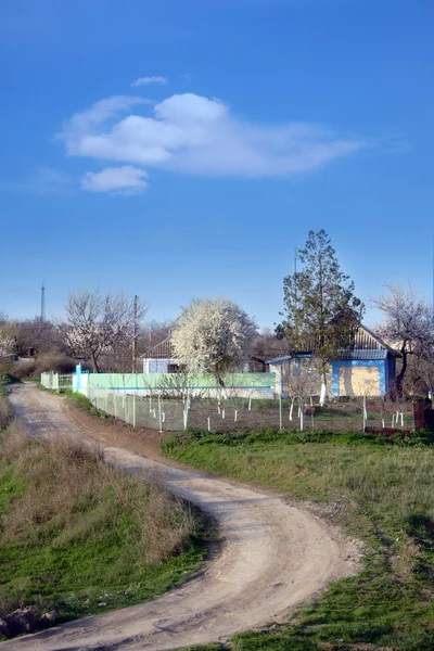 Ukrainska landskap med väg — Stockfoto