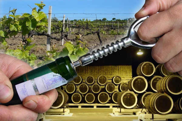 Open wine bottle — Stock Photo, Image