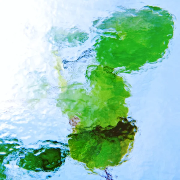 抽象背景与 blured 天竺葵叶子 — 图库照片