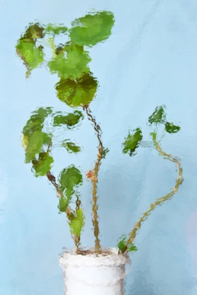 Abstrakt bakgrund med texturerat geranium — Stockfoto