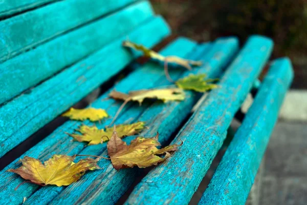 Осенние желтые листья на скамейке — стоковое фото