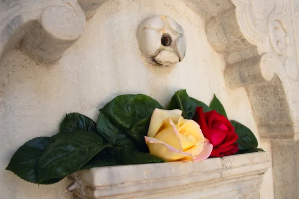 Coppia rose su parete di marmo — Foto Stock