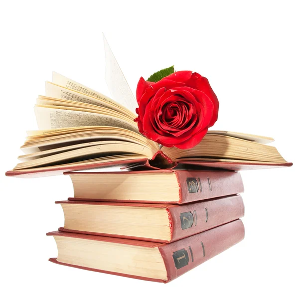 Κόκκινο τριαντάφυλλο σε ανοιχτό βιβλίο. — Φωτογραφία Αρχείου
