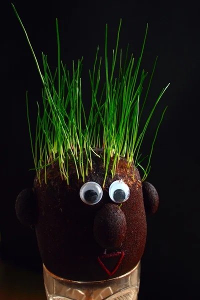 Grass on the head — Stock Photo, Image
