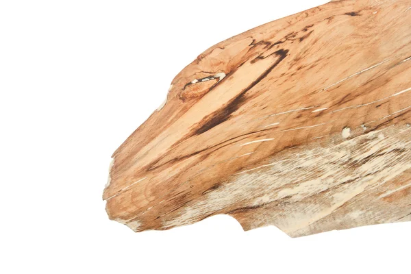 Piece of wood look like dragon head. — Stock Photo, Image