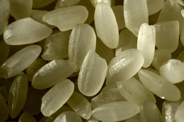 stock image Rice grains