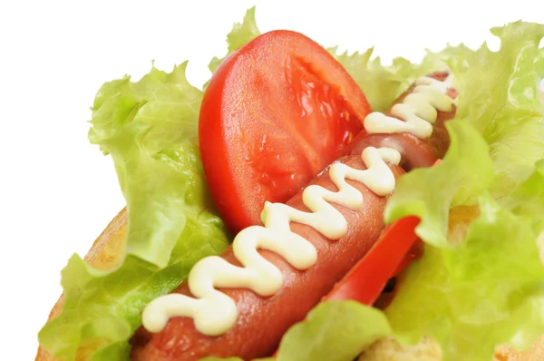 Tasty and delicious hotdog — Stock Photo, Image