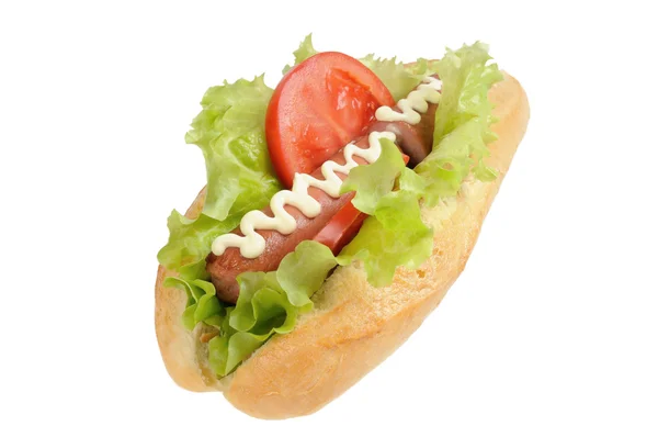 Hotdog savoureux et délicieux — Photo