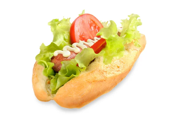 Hot dog saboroso e delicioso — Fotografia de Stock