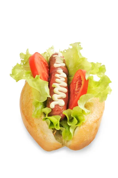 Lekker en heerlijke hotdog — Stockfoto