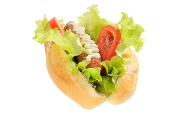 Νόστιμο και γευστικό hotdog — Φωτογραφία Αρχείου